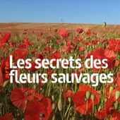 Laetitia Pansanel Garric - Composer - LAETITIA PANSANEL GARRIC