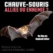 A strange power by Laetitia Pansanel-Garric